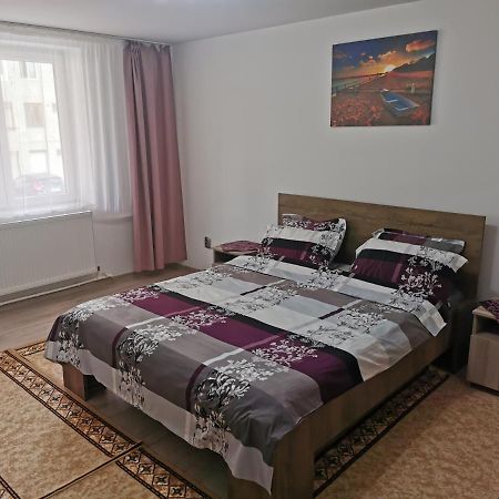 Apartament BUCOVINA Apartment Câmpulung Moldovenesc Exterior foto