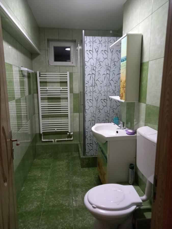 Apartament BUCOVINA Apartment Câmpulung Moldovenesc Exterior foto