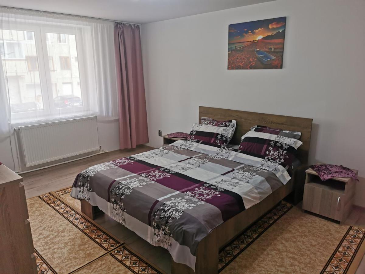 Apartament BUCOVINA Apartment Câmpulung Moldovenesc Exterior foto