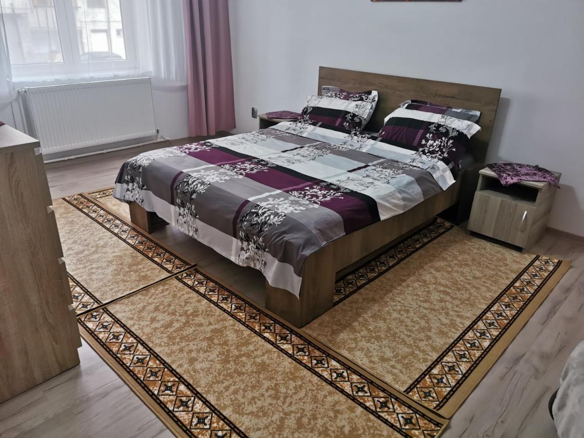 Apartament BUCOVINA Apartment Câmpulung Moldovenesc Exterior foto