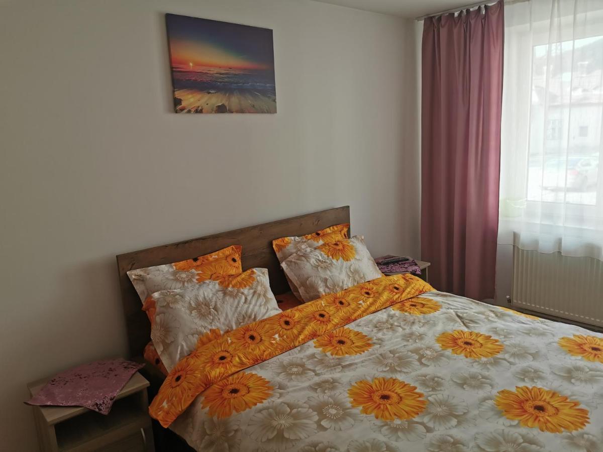 Apartament BUCOVINA Apartment Câmpulung Moldovenesc Exterior foto
