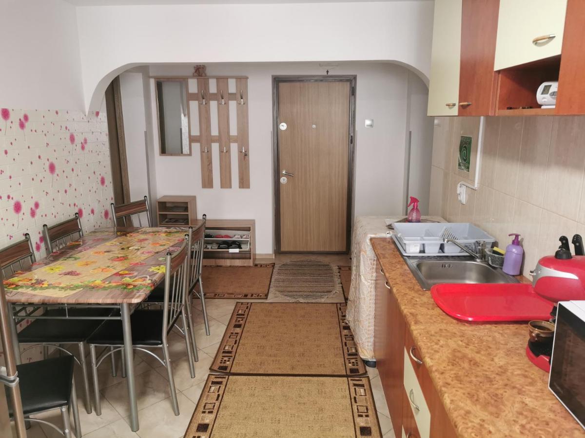 Apartament BUCOVINA Apartment Câmpulung Moldovenesc Exterior foto
