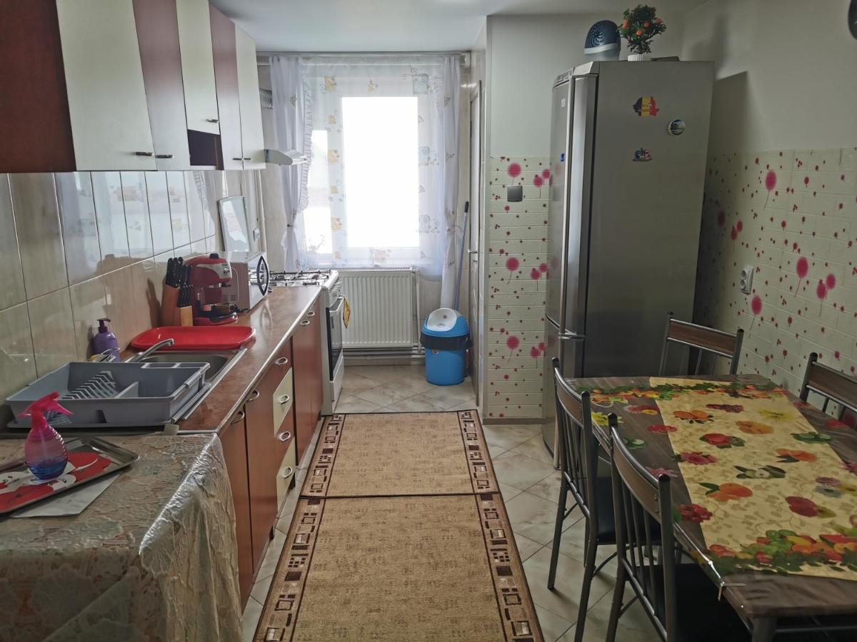 Apartament BUCOVINA Apartment Câmpulung Moldovenesc Exterior foto